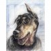 Doberman